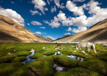 My curated 10-day Ladakh itinerary for first-timers