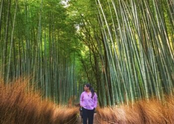 arashiyama bamboo forest in japan