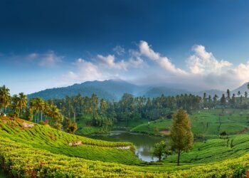 kerala beautiful photo