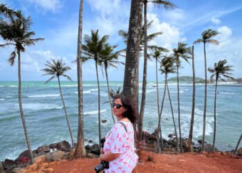 mirissa coconut hill grove