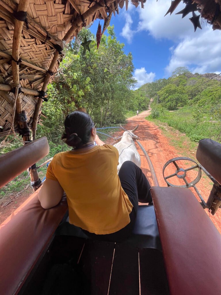 Sigiriya village and ravana rock sri lanka