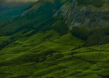 hill stations in south india