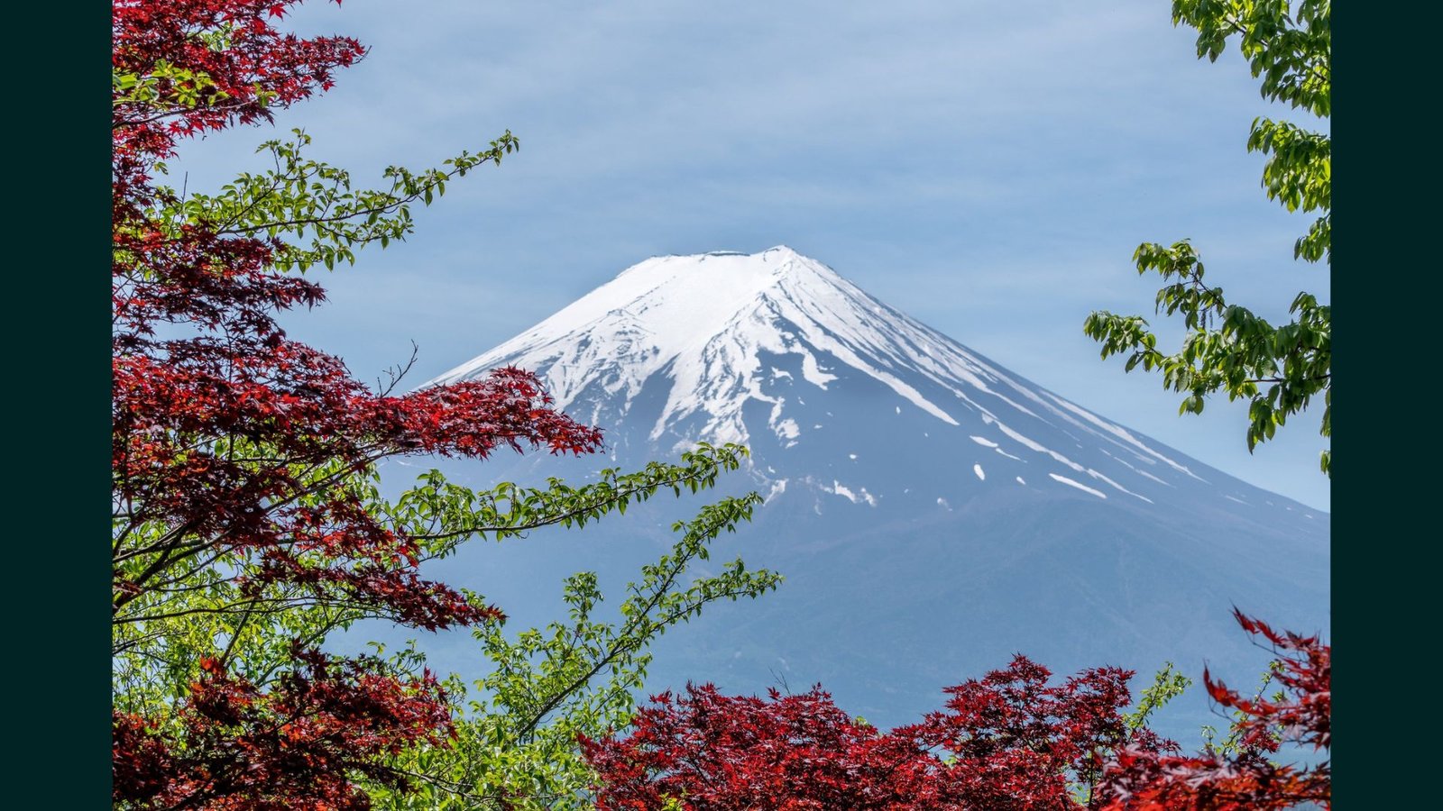 fuji cover